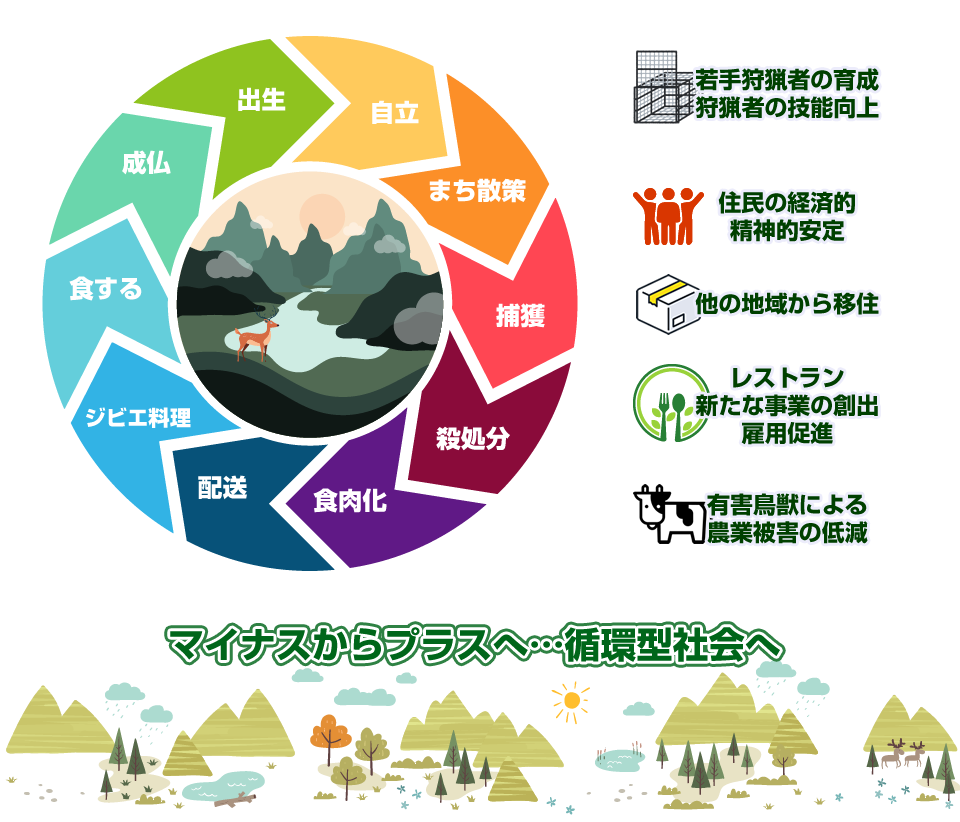 循環システムイメージ図