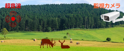 鳥獣対策全体イメージ画像1