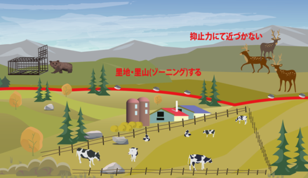 鳥獣対策全体イメージ画像３